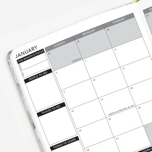 Passion Planner 2021 Weekly Annual Size Medium. Serpent Spring - Picture 7 of 8